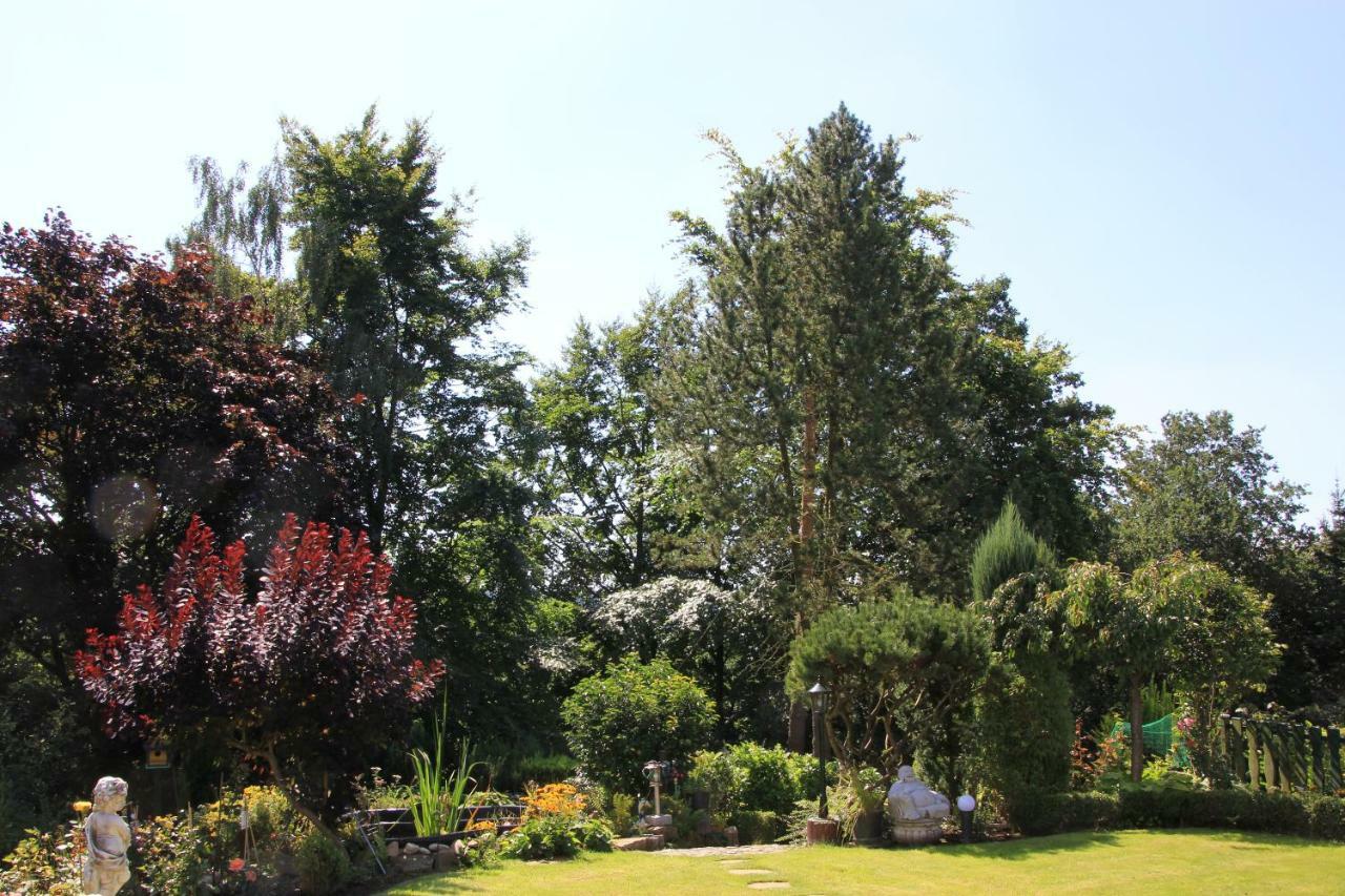 Bed And Breakfast Am Hoehenweg Warstein Esterno foto